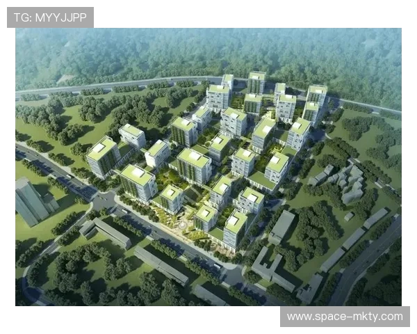 从固定单一功能转向全业态协作 体育设施智能化在创新周期内实现了能力延展